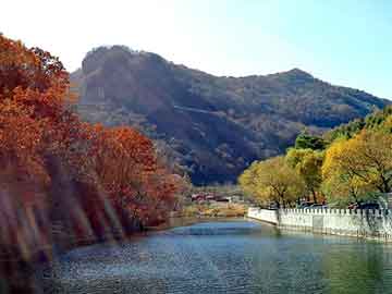 澳门期期准免费精准，华池seo建站